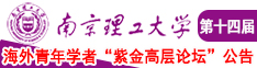 操骚逼熟女视频南京理工大学第十四届海外青年学者紫金论坛诚邀海内外英才！